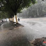 从化这样的鬼天气，来个雨中漫步？