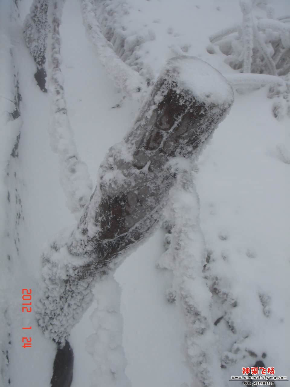 DSC00004.jpg