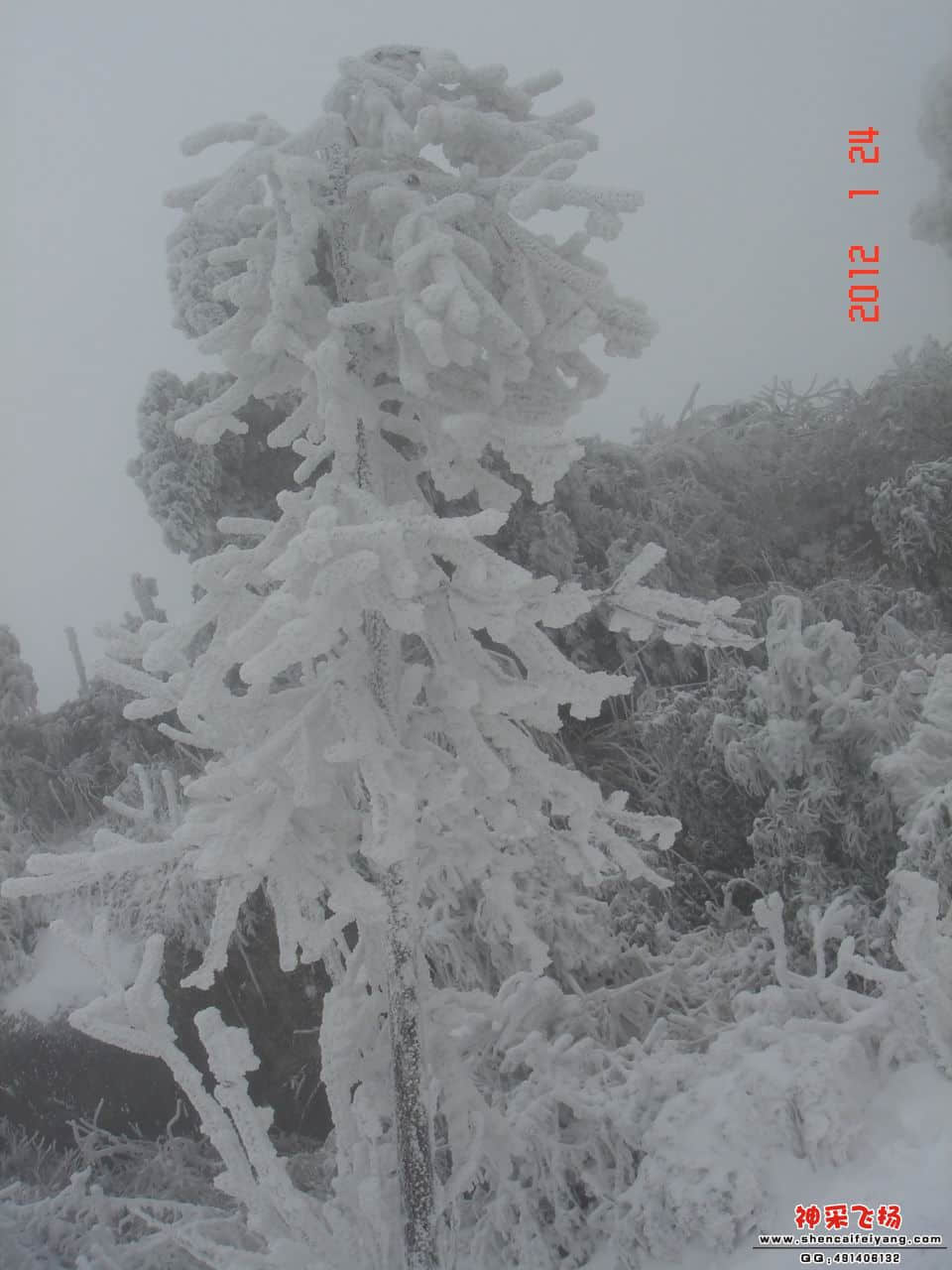 DSC09974.jpg