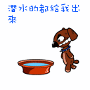 3f7514251a378edf.jpg
