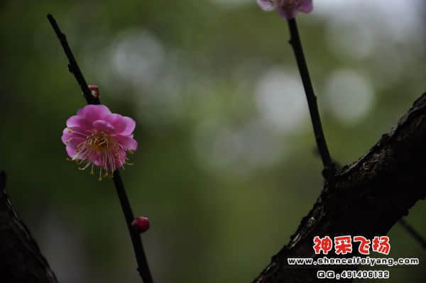 照片 071.jpg