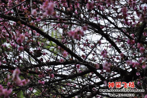 照片 076.jpg