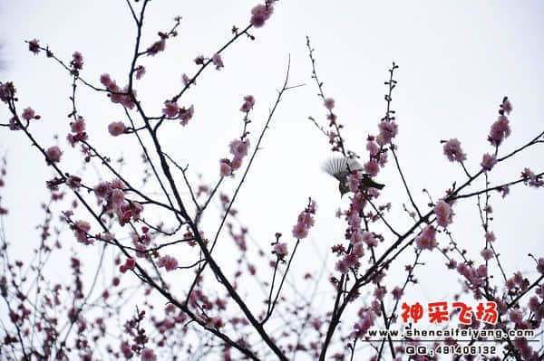 照片 022.jpg