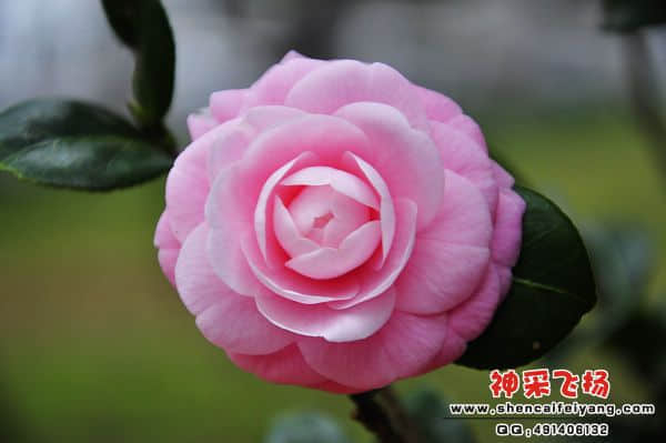照片 153.jpg