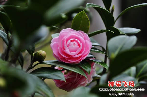 照片 154.jpg