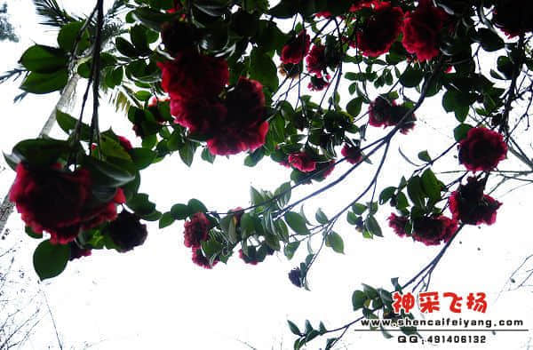 照片 108.jpg