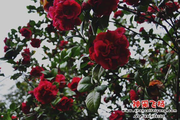 照片 112.jpg