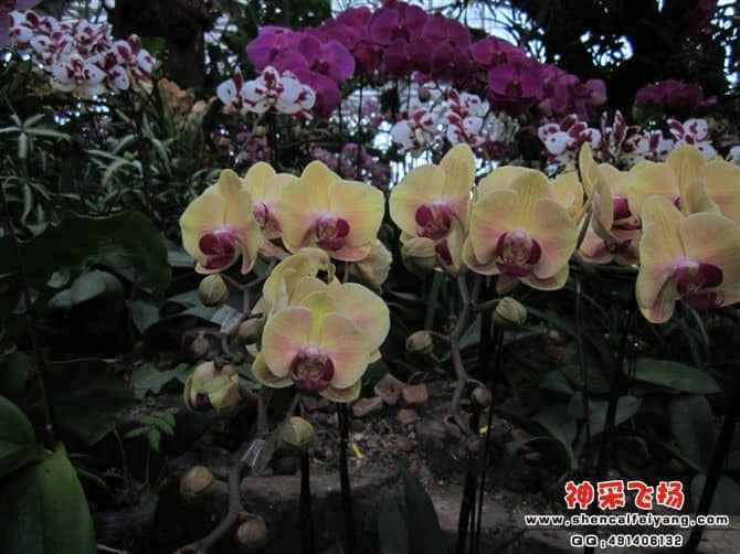 20120212212746.jpg
