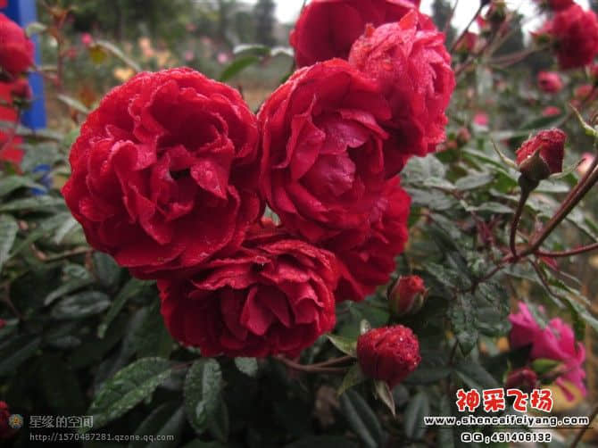 20120212234136.jpg