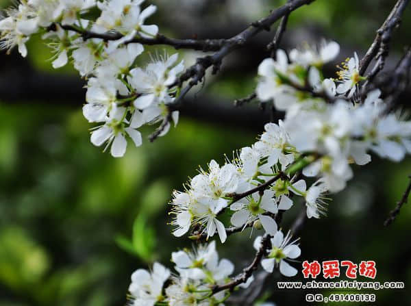 照片 008.jpg