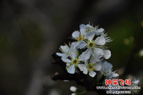 照片 023.jpg