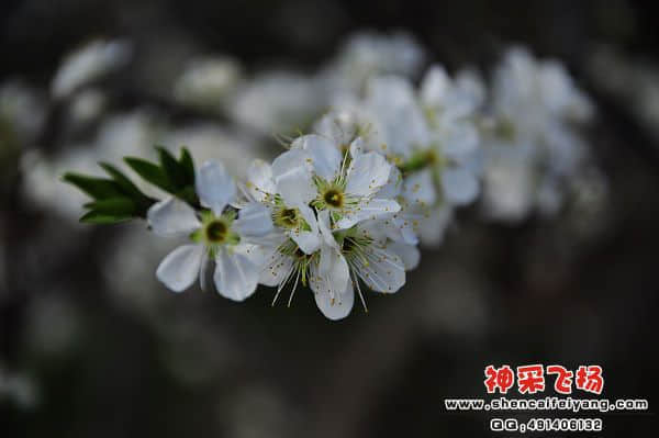 照片 097.jpg