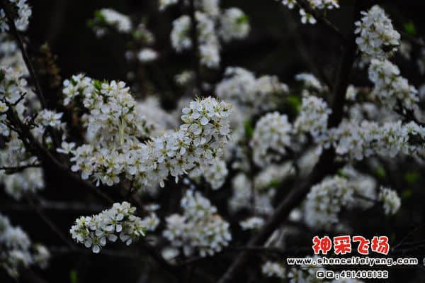 照片 153.jpg