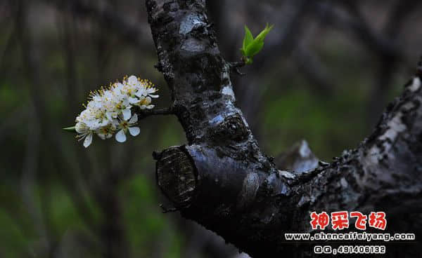 照片 202.jpg