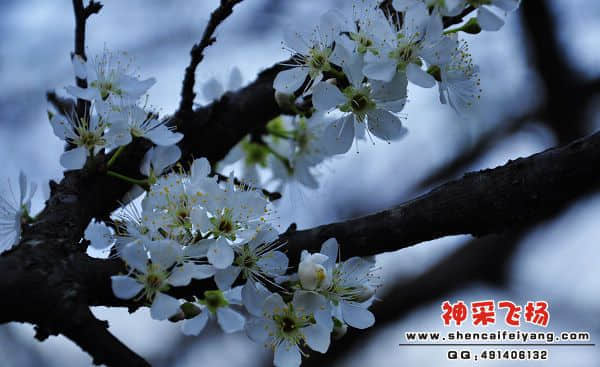 照片 209.jpg