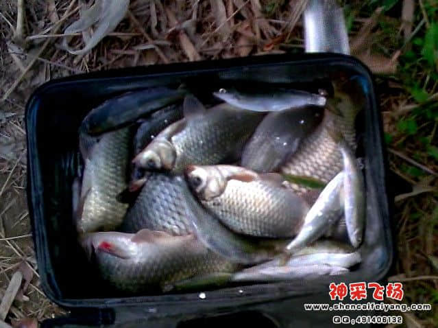 QQ截图20120215190903.jpg