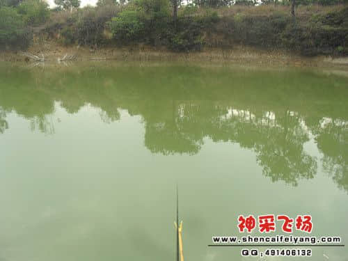 SAM_1148_副本.jpg