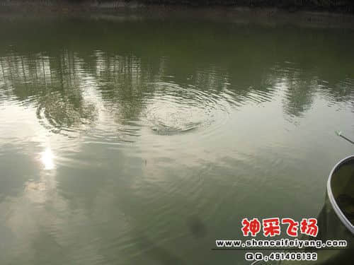 SAM_1157_副本.jpg