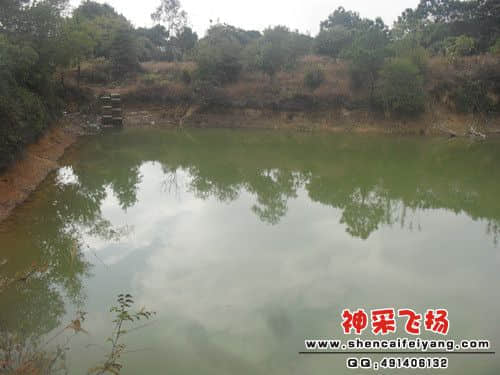 SAM_1140_副本.jpg