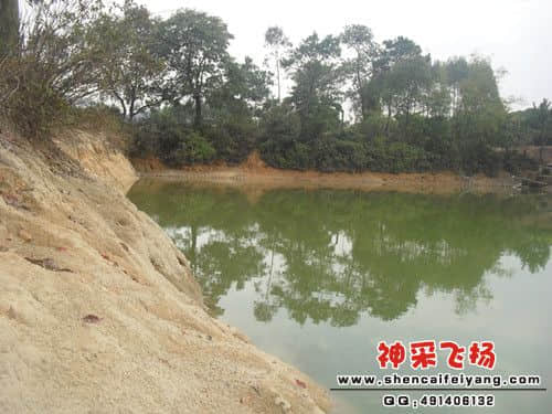 SAM_1150_副本.jpg