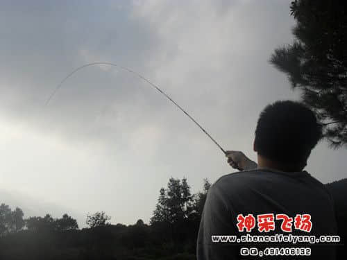 SAM_1156_副本.jpg