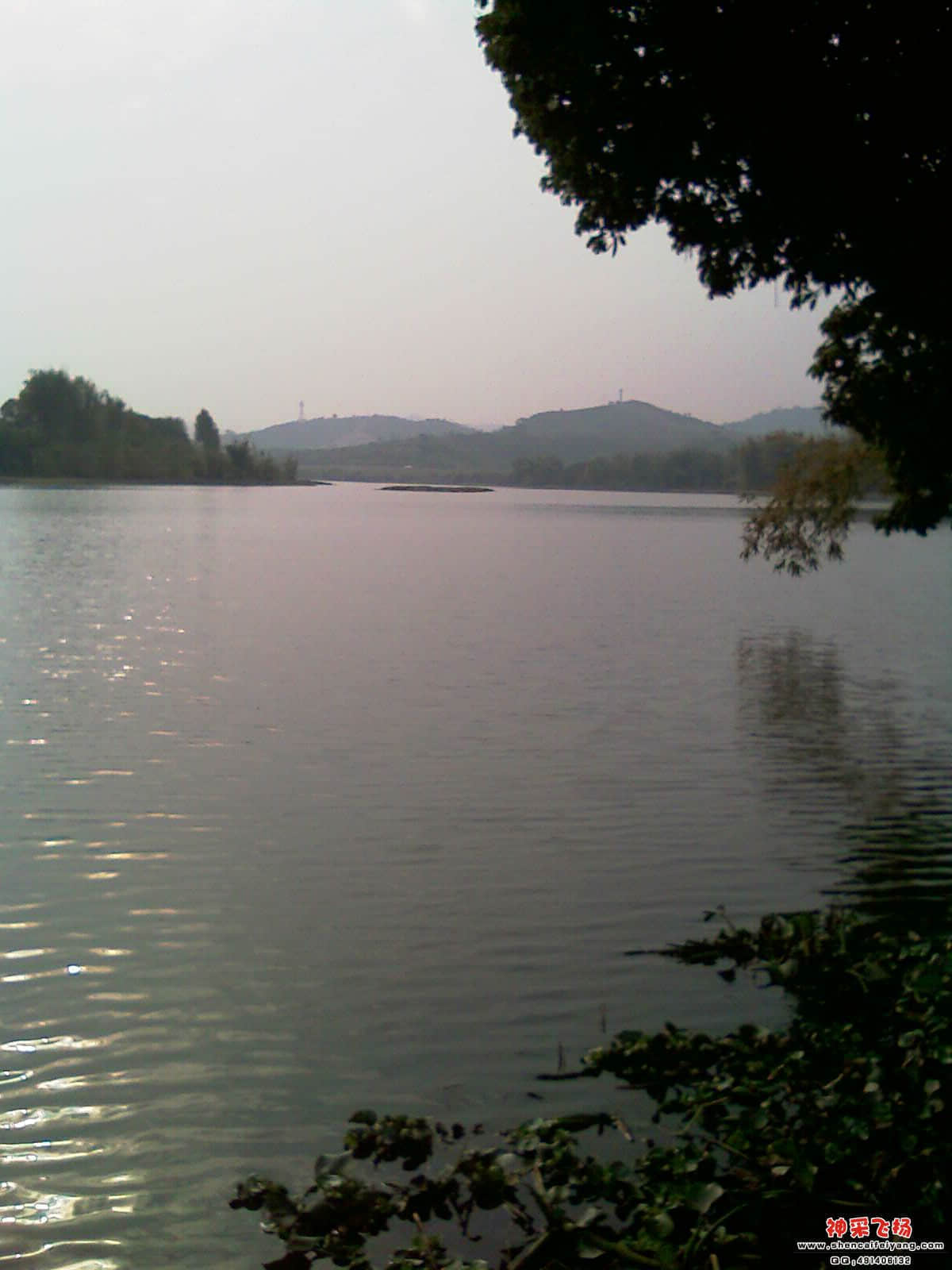 IMAG0276.jpg