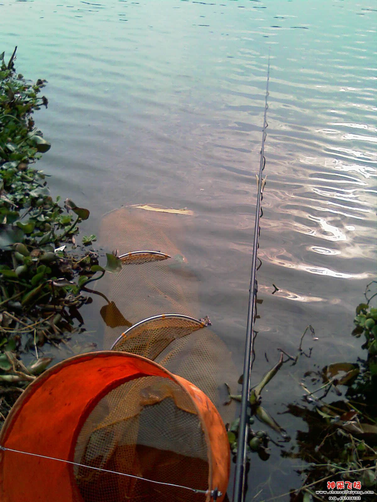 IMAG0275.jpg