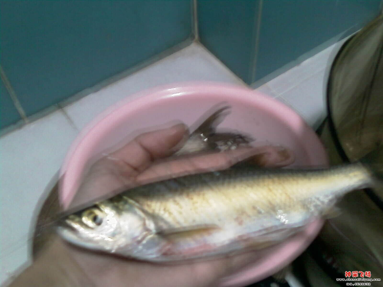 IMAG0280.jpg