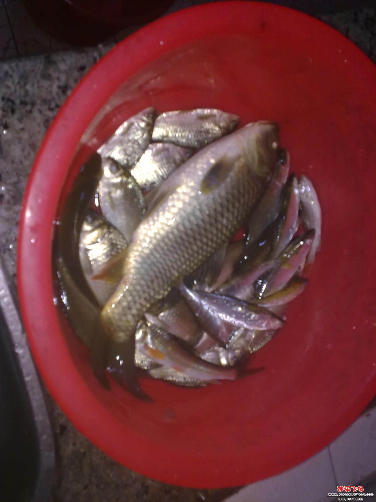 20120216985.jpg