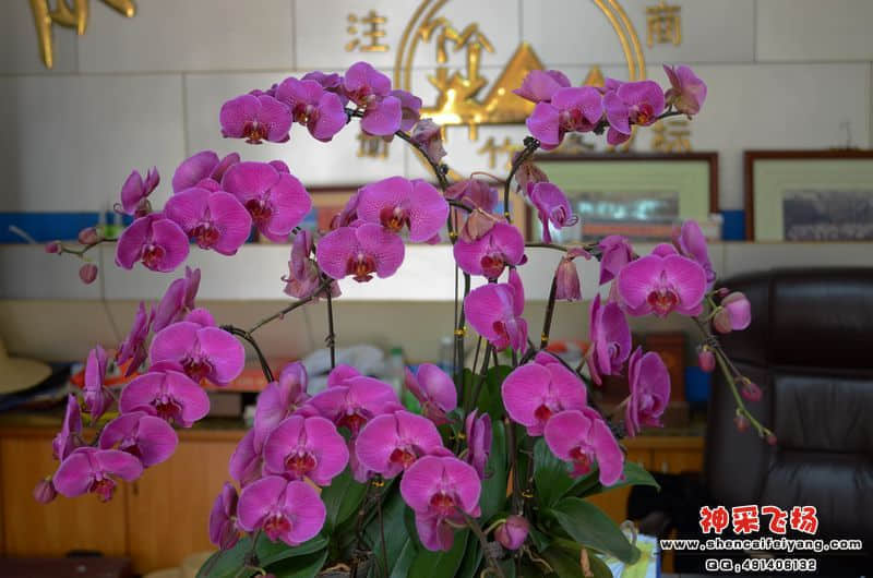 DSC_1030.JPG