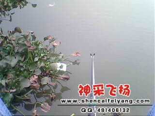 IMG0200A.jpg