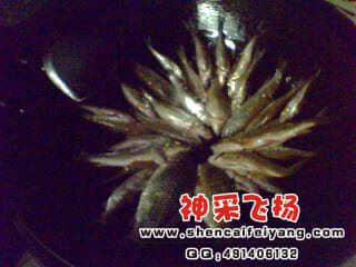 IMG0223A.jpg