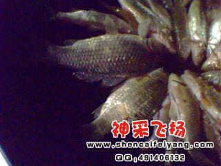 IMG0225A.jpg