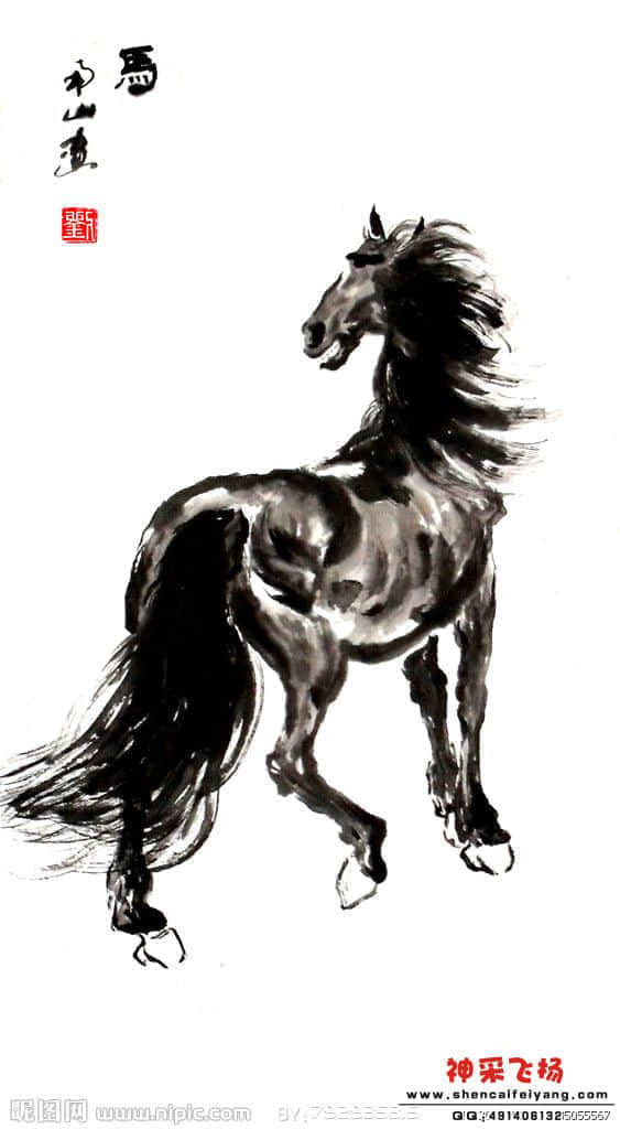 3420027_131835055567_2.jpg