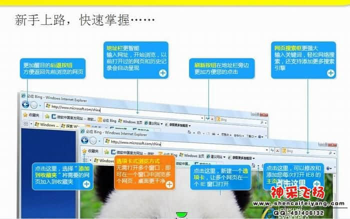 IE8.JPG