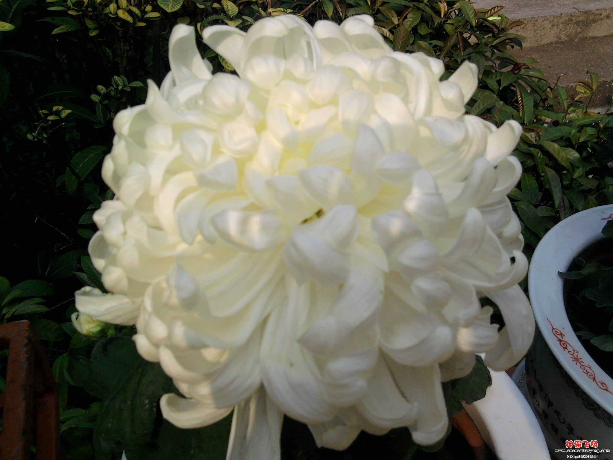照片032.jpg