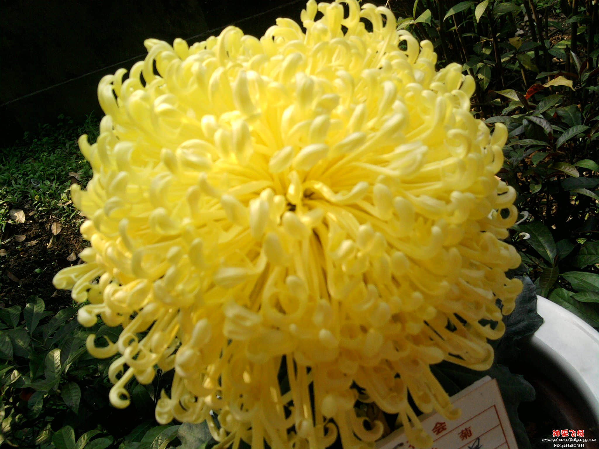 照片040.jpg