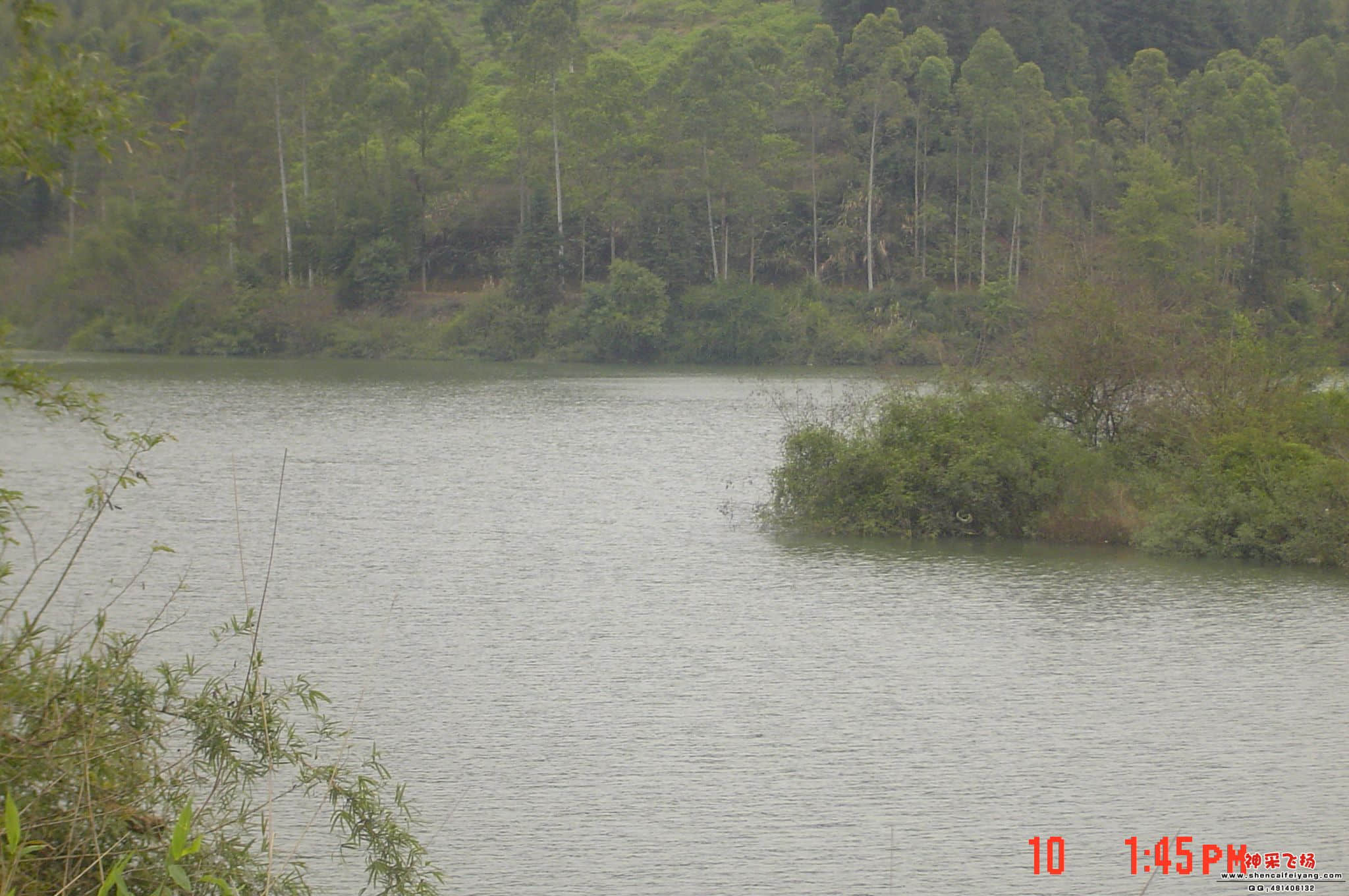 DSC06698.JPG