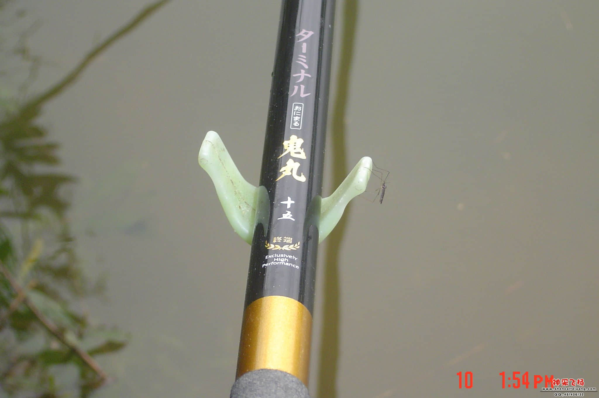 DSC06703.JPG