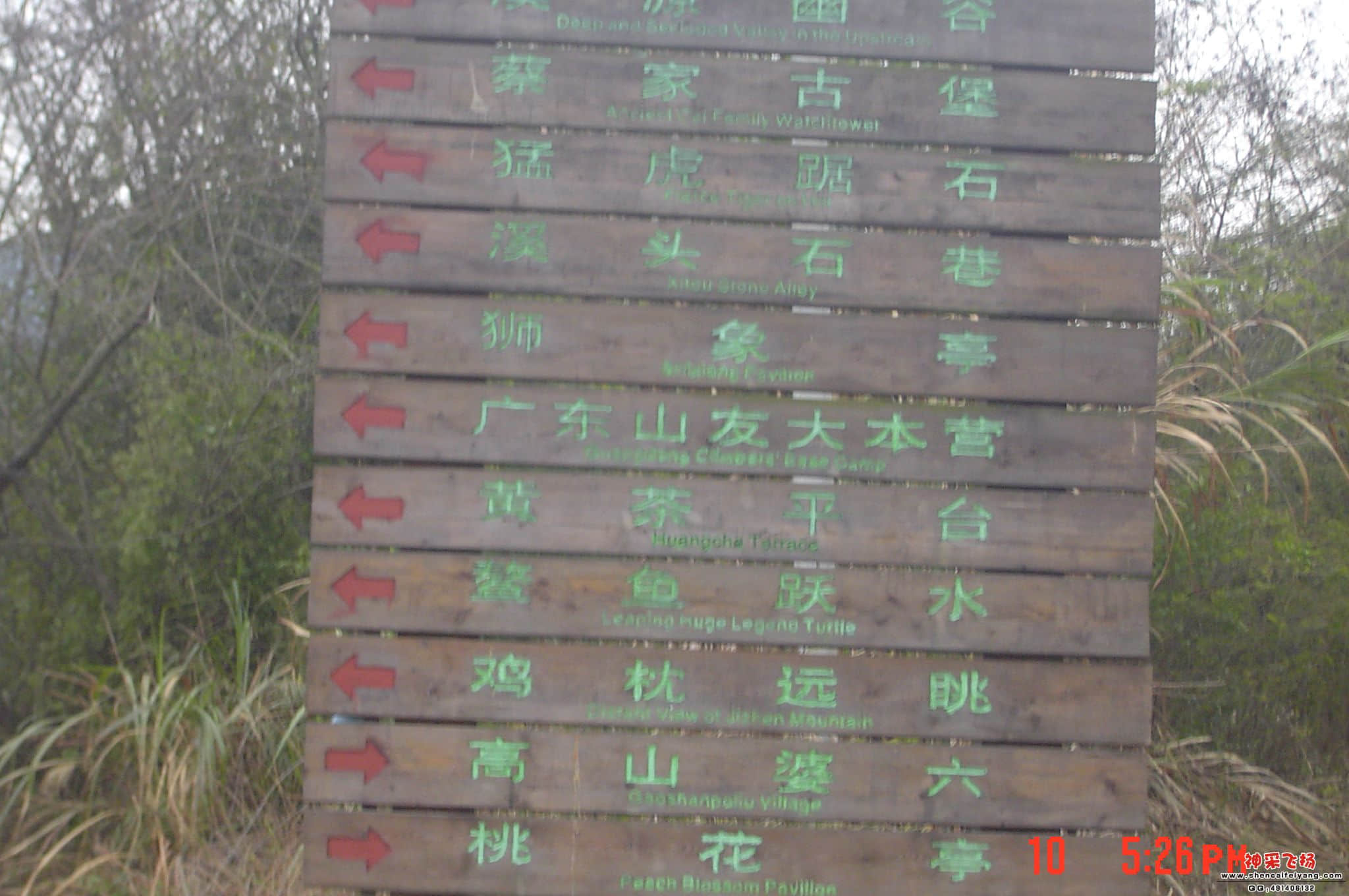 DSC06720.JPG