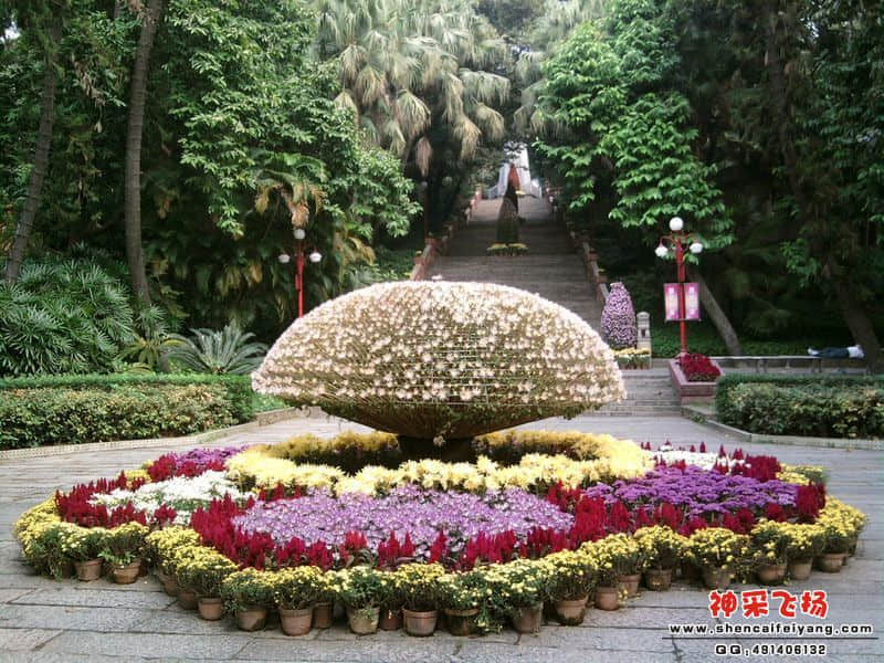 照片009.jpg