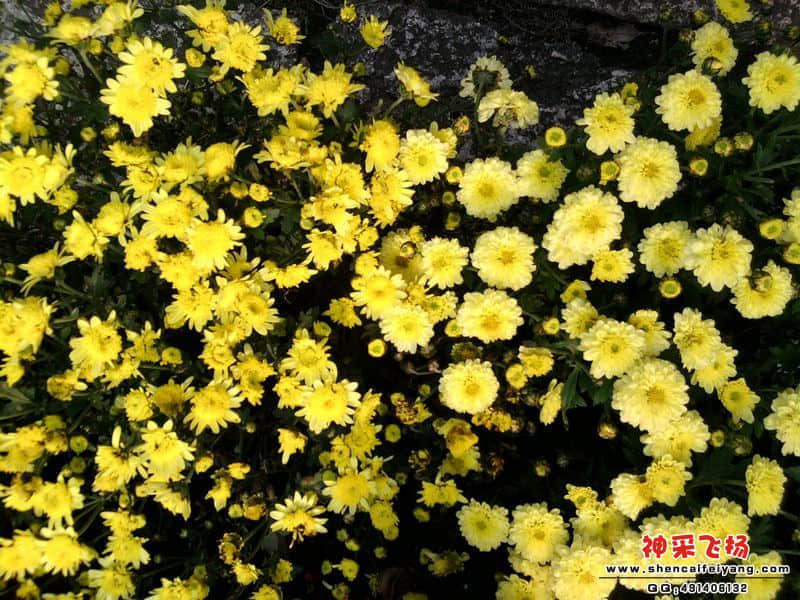 照片012.jpg