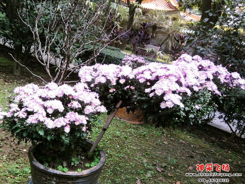 照片027.jpg