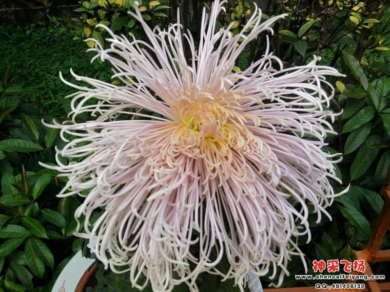 照片034.jpg