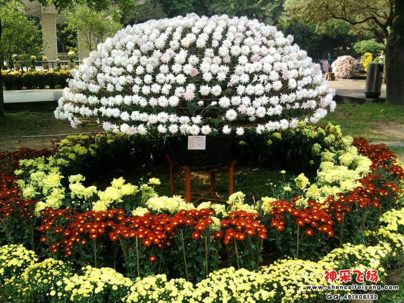 照片043.jpg
