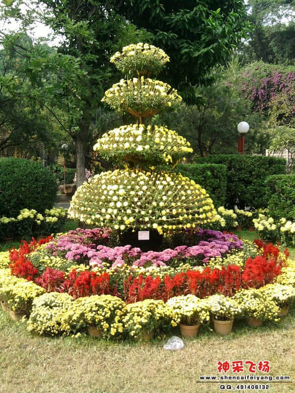 照片044.jpg