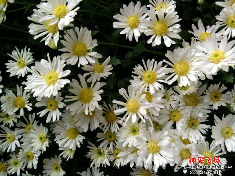 照片059.jpg