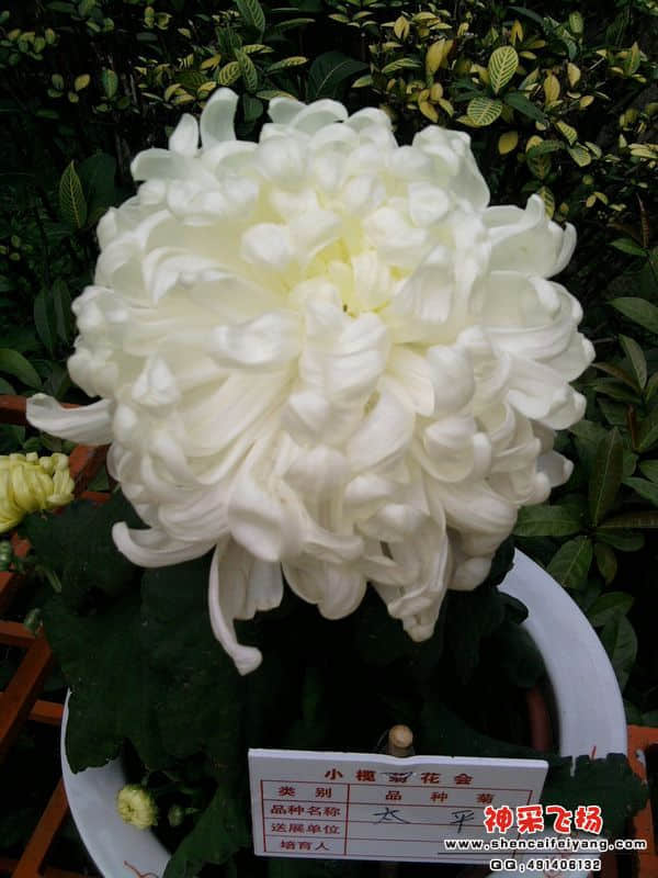照片067.jpg