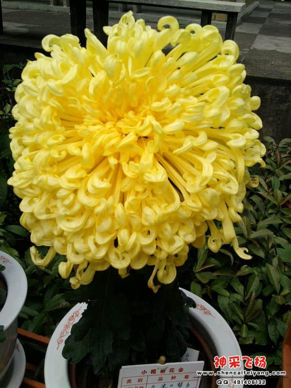 照片068.jpg