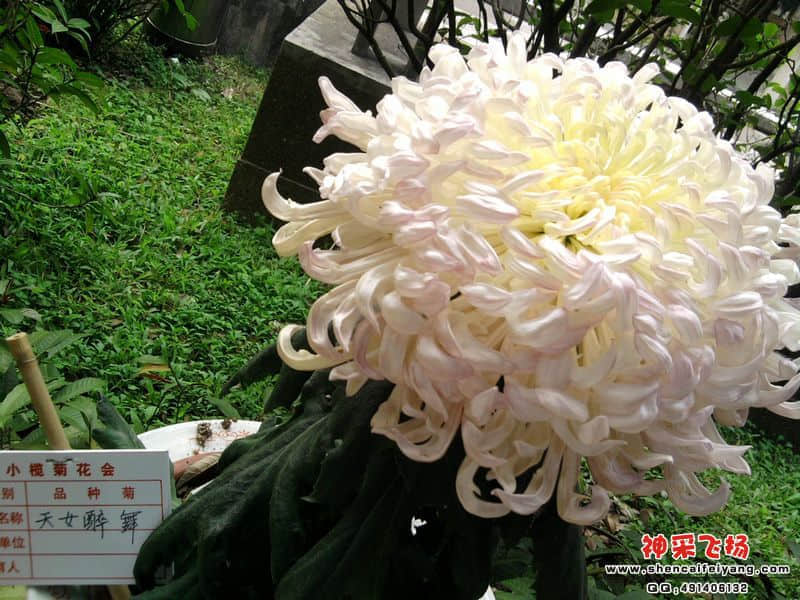 照片072.jpg